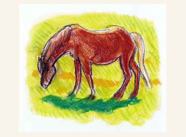 Hest der græsser