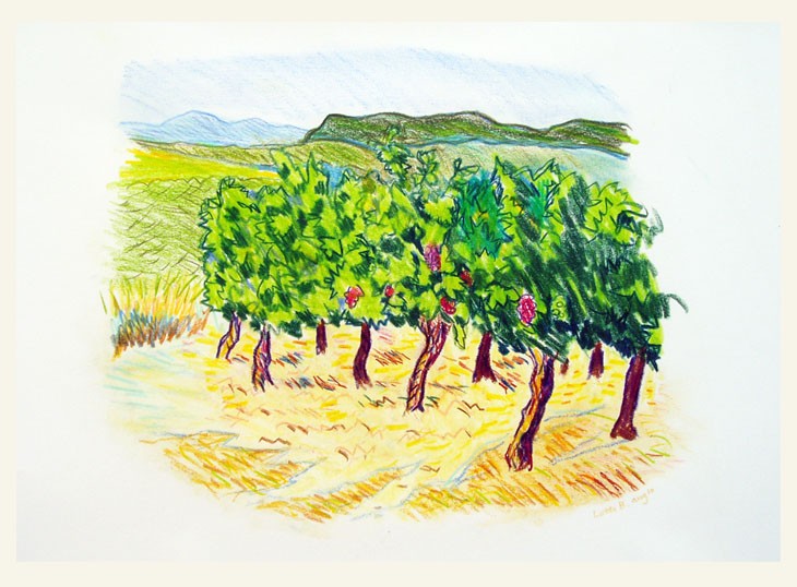 Vinmark
