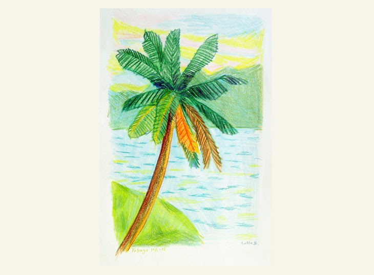 Palme