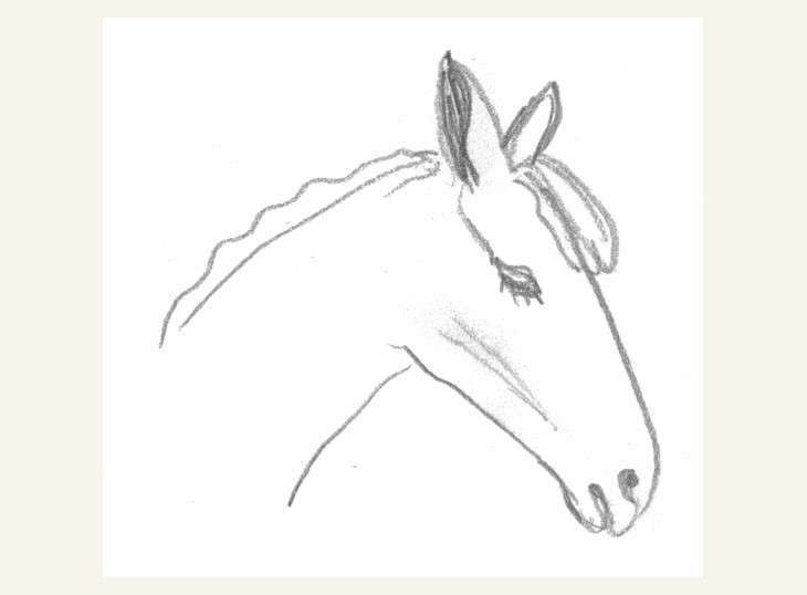 Hest, blyant